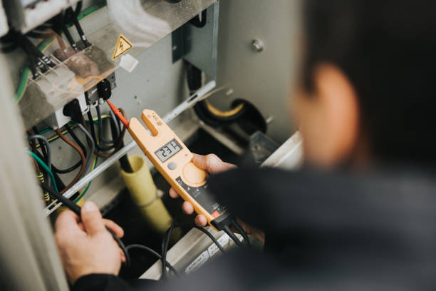 Best Electrician for Home Renovation  in Chisago City, MN