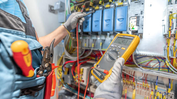 Best Electric Panel Repair  in Chisago City, MN